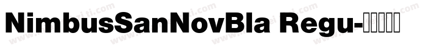 NimbusSanNovBla Regu字体转换